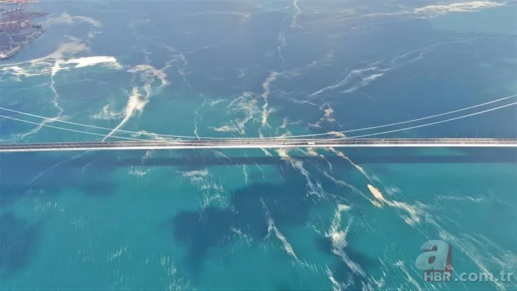 Korkutan manzara! Osmangazi Köprüsü’nü saran deniz salyası havadan görüntülendi