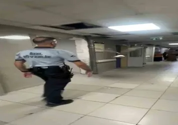 Bursa'da bir martı acile uçarak girdi! İşte o anlar