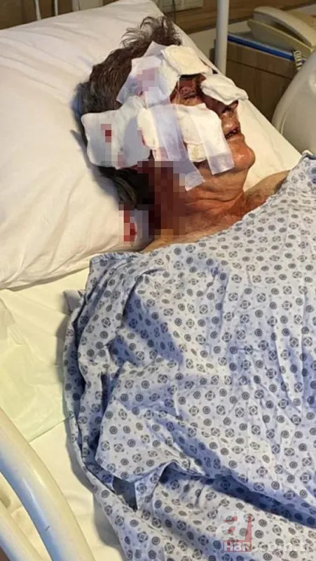 Maymun böyle kaçırdı! Halk seferber oldu 25