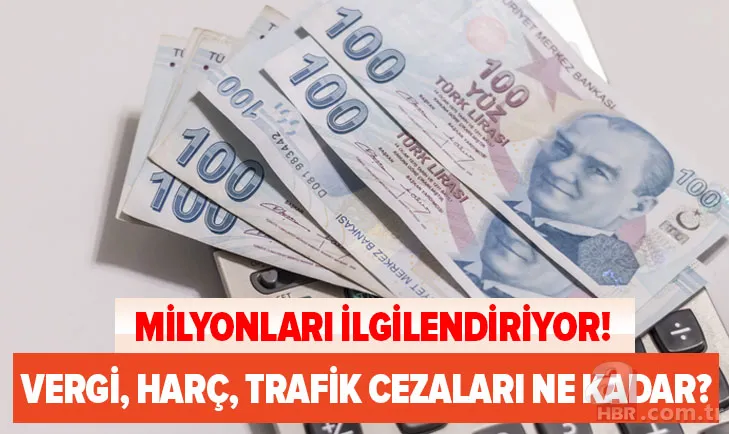 Milyonlarca kişiyi ilgilendiriyor! 2021'de vergi, harç ve trafik cezaları ne kadar olacak? İşte yeni oranlar... 1