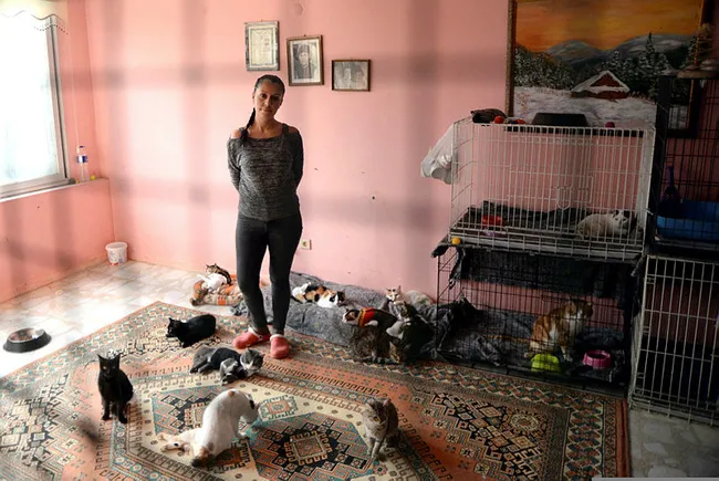 Mersin’de yavru kedileri ağzı bağlanmış poşete koyup ölüme terk ettiler - 5