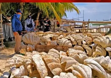 Son dakika: 25 milyon dolarlık dev midye vurgunu
