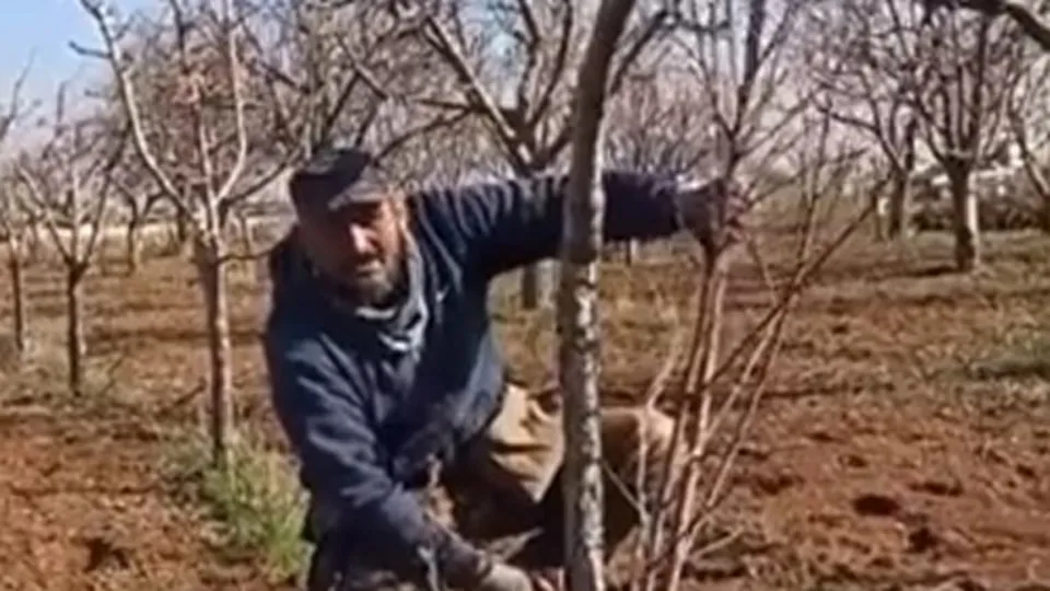 Bir çiftçiden 7’li koalisyonu anlatan en net sözler! Bunları seçimde budayarak devleti rahatlatacağız