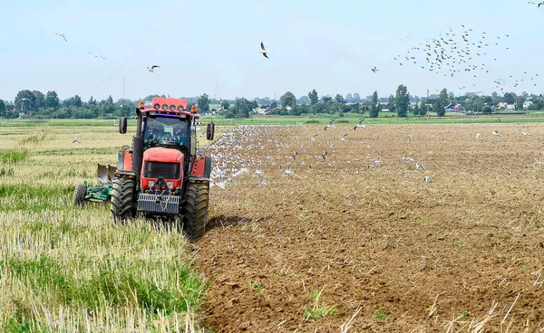 Ucuz gıda için dev üretim hamlesi! Tüm kurumlar harekete geçti
