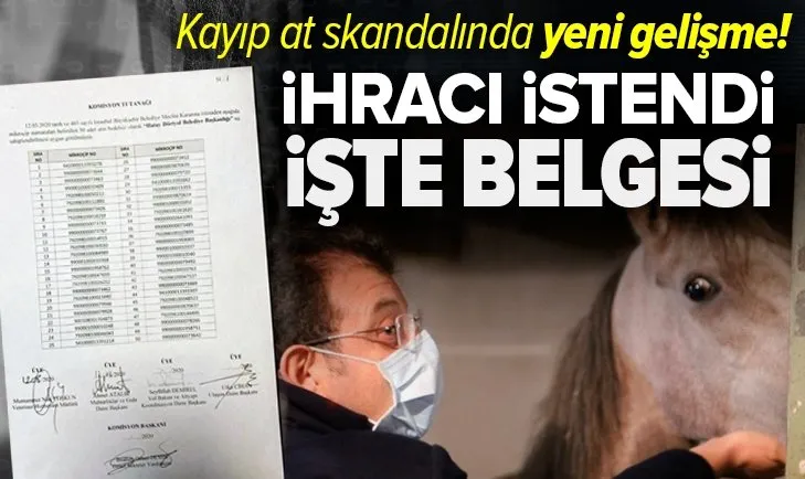 CHP'li İBB'deki kayıp at skandalında yeni gelişme! O müdürün memurluktan ihracı istendi