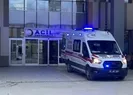 Başıboş dehşeti 5 yaşındaki Hamzayı canından etti