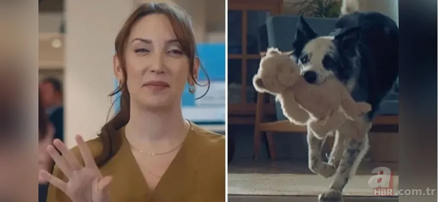 "Bosch" zihniyet: Almanya'da çocuklu Türkiye'de köpekli Anneler Günü reklamı 3