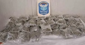 Aydın’da mera ıslah projeleri sürüyor