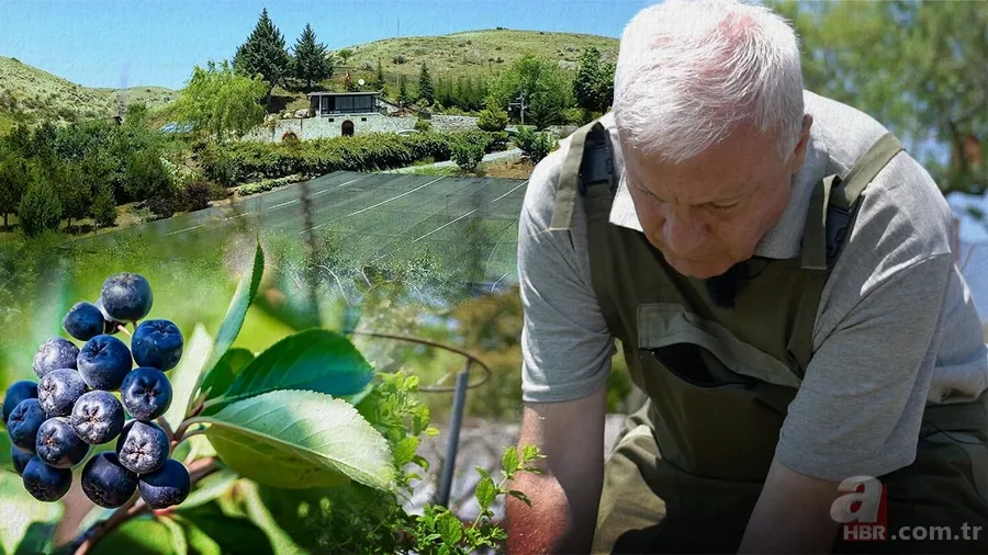 Mazotun tamamı, gübrenin yarısı devletten: Çiftçinin maliyeti düşecek 6