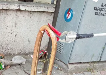 Yılan sanılarak öldürülüyordu ama...