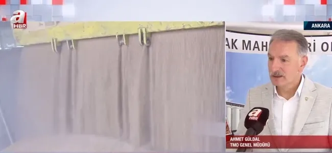 Tarlada hasat sezonu sürüyor! TMO randevu sisteminde bir sorun var mı?