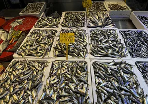 Trabzon’da balık tezgahlarının yıldızı: Hamsi ve istavrit