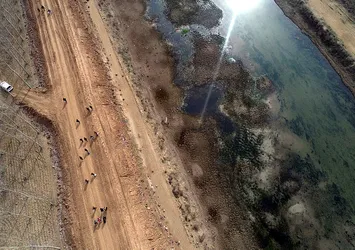Son dakika: BM'den flaş Türkiye çağrısı