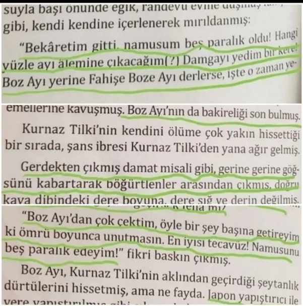 Musa Dinç’e büyük tepki! ’Gül ve Düşün’ isimli çocuk kitabında skandal ’tecavüz’ hikayesi!