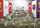 Teröristlerin gelir kaynağına ağır darbe!
