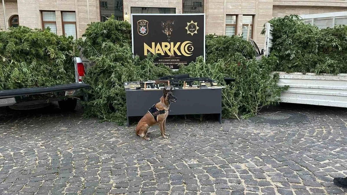 Kilis'te uyuşturucu operasyonu: 1 tutuklama