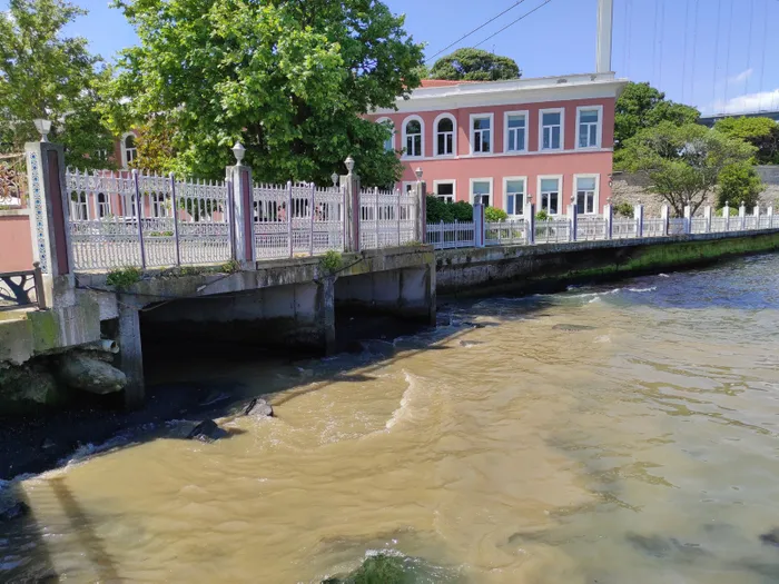Son dakika: İstanbul Boğazı şimdi de kahverengi oldu! Bu kez müsilaj deniz salyası değil