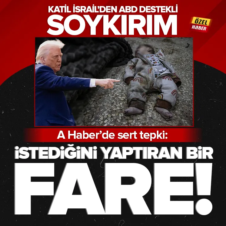 Katil İsraile sert tepki: Bir fare!