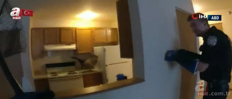 Eve giren firari vahşi hindi ortalığı birbirine kattı! ABD polisinden "özel hindi operasyonu" 9