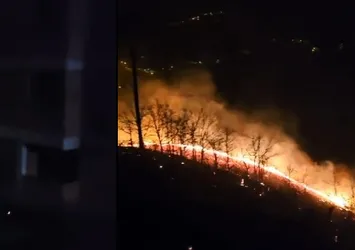 Trabzon'da yangın paniği! Çok sayıda ekip sevk edildi