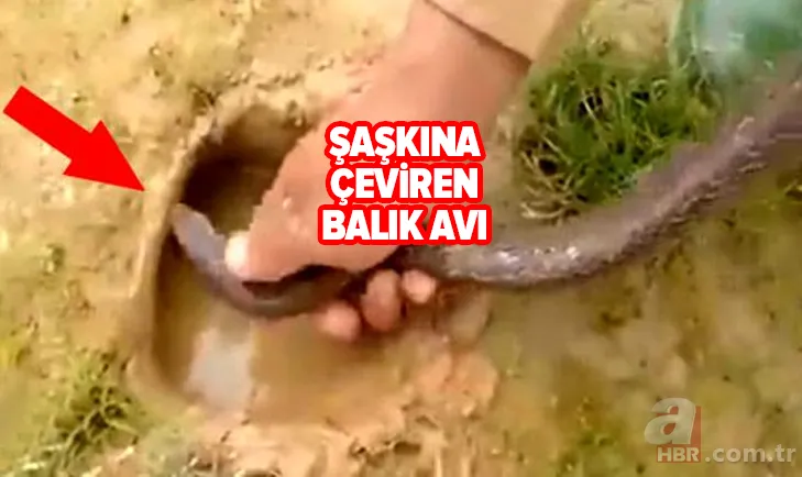 Avlayıp metrelerce ağzında böyle taşıdı! Amatör balıkçılar görüntüledi 11