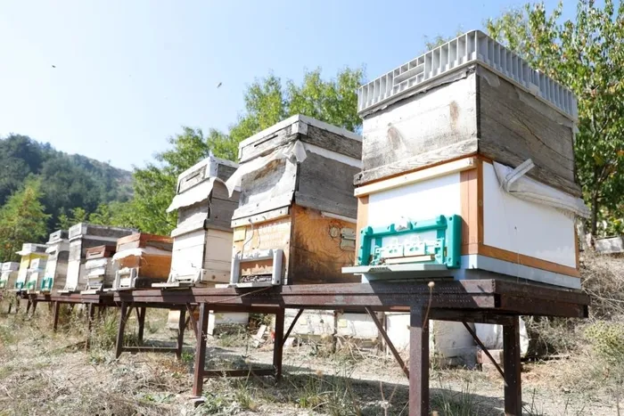 inegolde-karacali-balinin-cografi-isareti-icin-calisma-yapilacak-1711288706008.jpg İnegöl’de ‘Karaçalı’ balının coğrafi işareti için çalışma yapılacak - 1