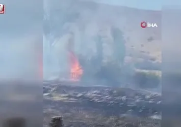 Elazığ’da otluk alanda yangın