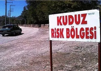 Osmaniye'deki kuduz karantinası! 104 vatandaş tedavi altında