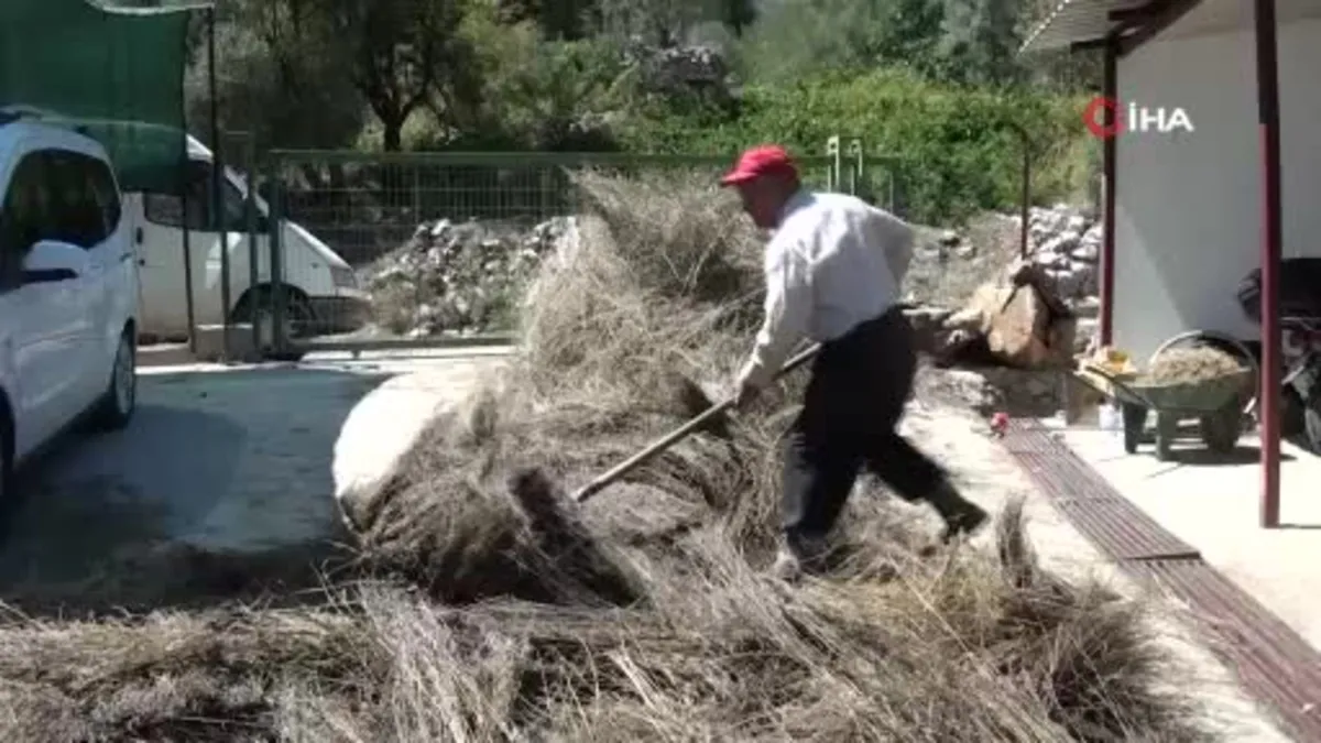 Torosların şifa dağıtan adamı