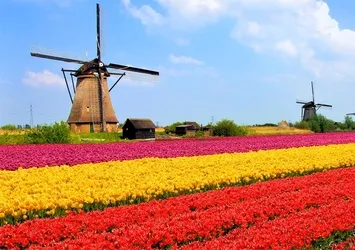 Hollanda'nın korkunç yüzünü hatırlayalım
