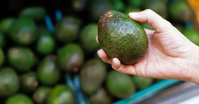 Avokado nasıl olgunlaştırılır? Bu yöntemle yumuşacık oluyor...