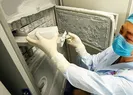 Çinin gizlediği virüs gerçeği basına sızdı! İşte o fotoğraflar...