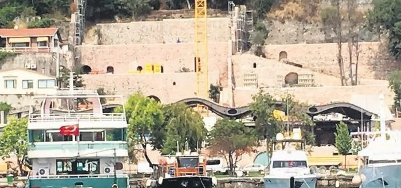 Kurul Durdurdu Koc Umursamadi Tarihi Alanda 14 Turde 55 Agac Kestiler
