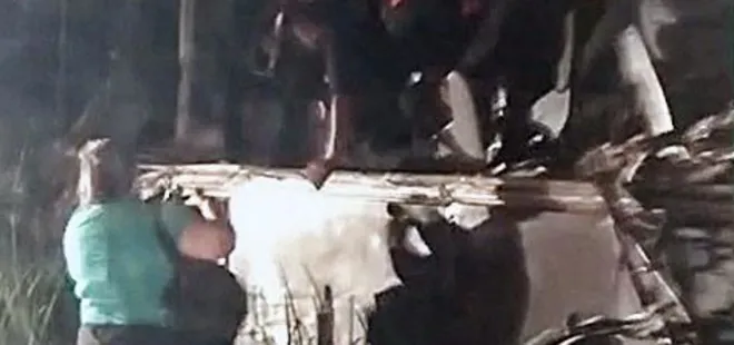 Brezilya’da korkunç kaza! 12 öğrenci öldü