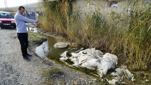 Ankaralı 5 yıllık sabrının sonuna geldi! Yavaş'a açık mesaj: Oy için kapımıza gelme - 3