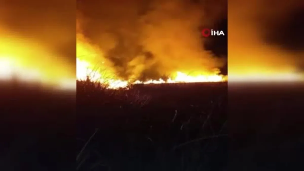 Yüksekova'da kuş cenneti alev alev yandı