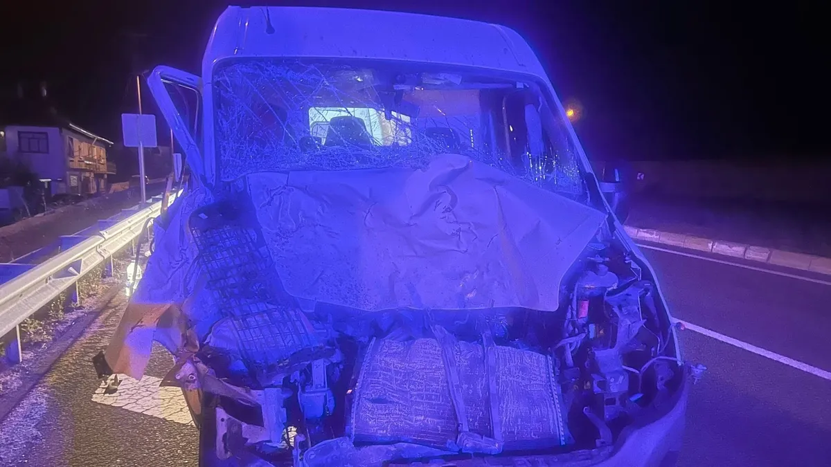 İnek minibüsü hurdaya çevirdi