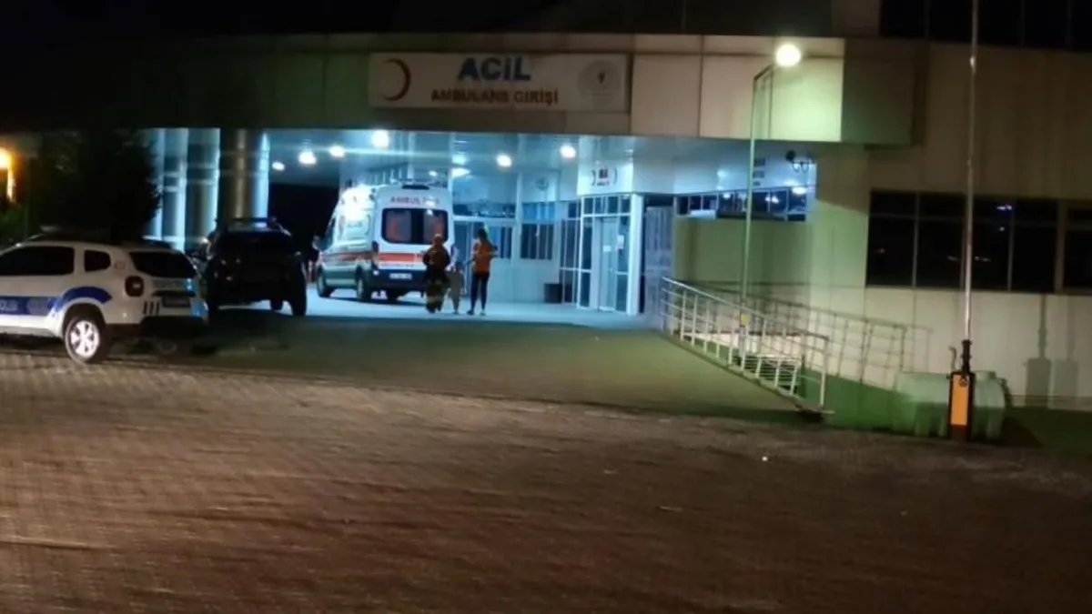 Bingöl'de trafik kazası: 8 yaralı