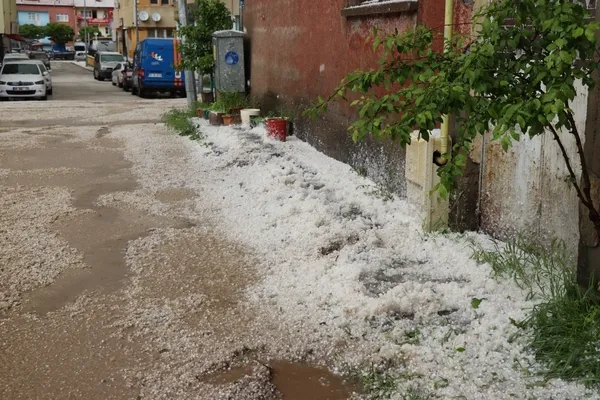 erzurumda-dolu-yagisi-merkez-beyaza-boyandi-1653311061064.jpg Erzurum’da dolu yağışı! Merkez beyaza boyandı - 5