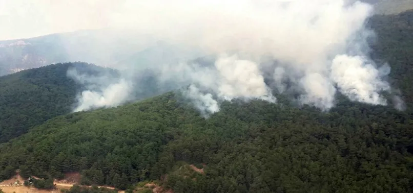 Kazdağları'nda 4 ayrı noktada orman yangını