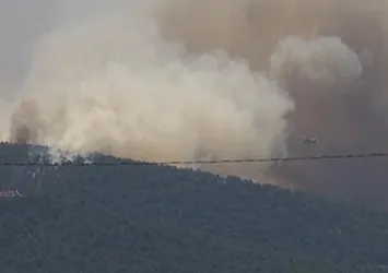 Son dakika: Heybeliada'da korkutan yangın! Havadan ve karadan müdahale ile kontrol altına alındı
