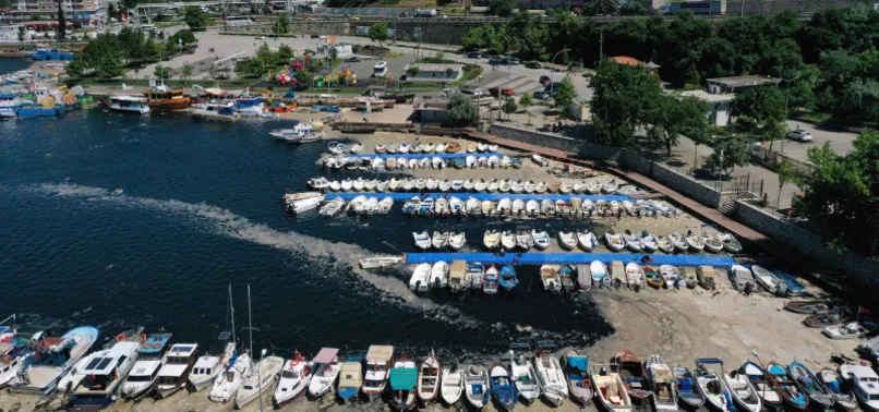 Deniz salyası cilt hastalıklarına neden olur mu? Uzman isimden flaş uyarı