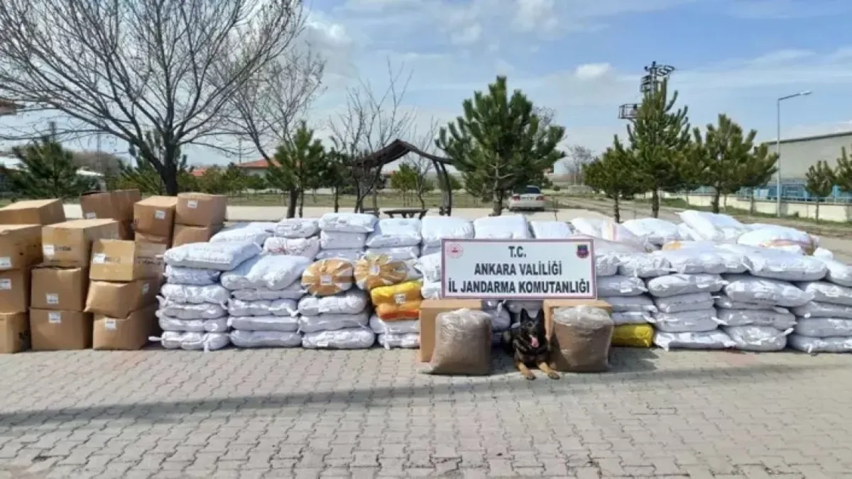 Ankara'da 12,2 ton sahte gıda ele geçirildi