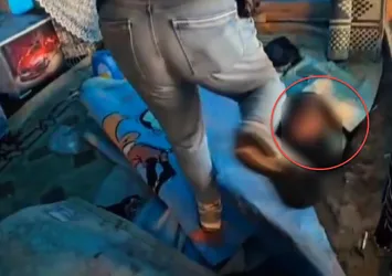 Çadırın içindeki çukurdan çıkan şoke etti
