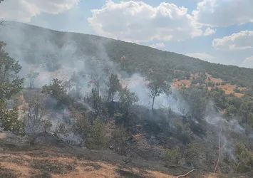 Bingöl'de orman yangını 2 saatte söndürüldü
