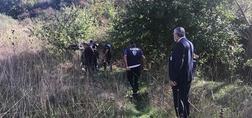 İstanbul'da boz ayı alarmı! Havadan drone destekli arama yapıldı