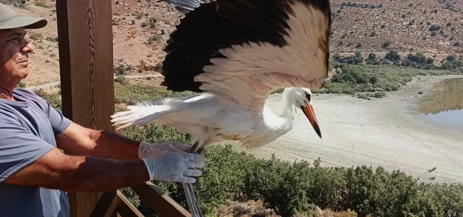 Aydın’da kurtarılan leylek ve flamingo doğaya salındı