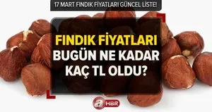 18 Mart 2023 fındık fiyatları bugün ne kadar?