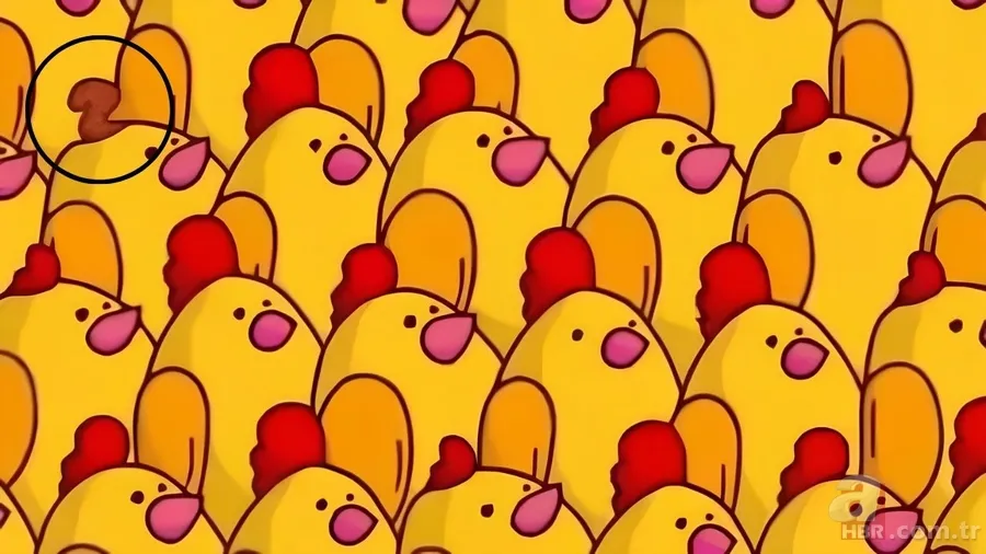 Zeka testi: Sincabın kuyruğu nerede? 593 kişiden 24'ü bulabildi 6