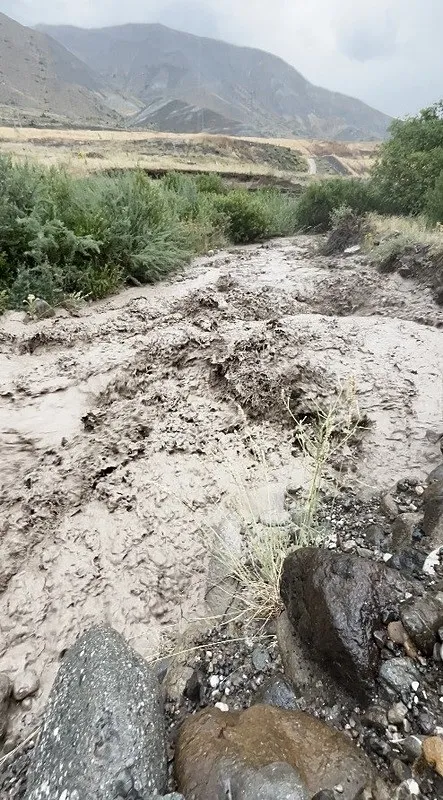 1753086807797.jpeg Erzincan'da sağanak yağış sele dönüştü - 1